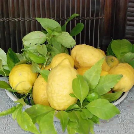 La Casetta Fra I Limoni Амальфи